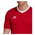Maillot adidas Entrada 22 manche courte