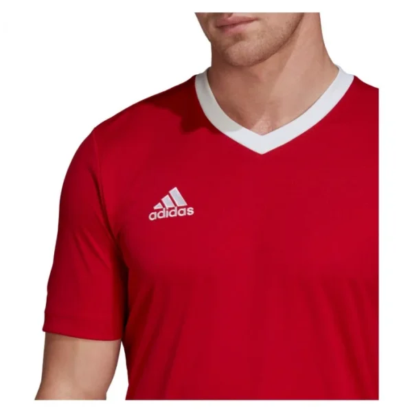 Maillot adidas Entrada 22 manche courte