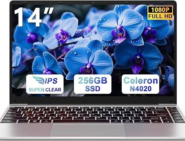 Ordinateur portable 14 pouces, Windows 11, 256 Go de ROM, Celeron N4020